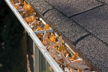 image of leaf clogged gutters.