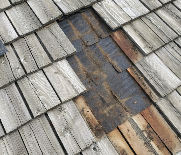 Questions To Ask About Storm Damage On Your Shake Shingle Roof