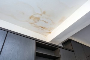 Prevent Roofing Leaks